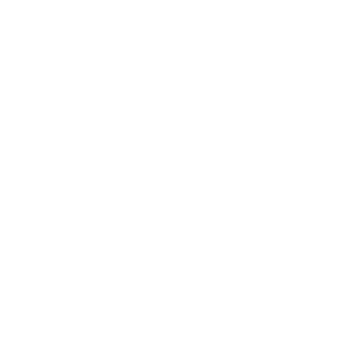 puma puma