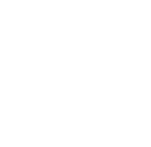 shimano shimano
