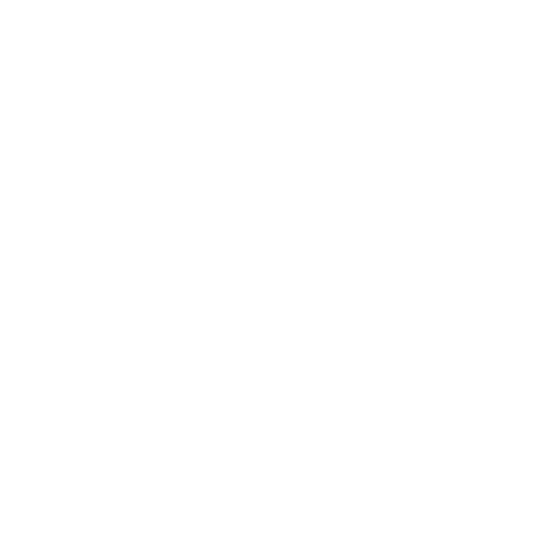 simms simms