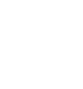 burton burton