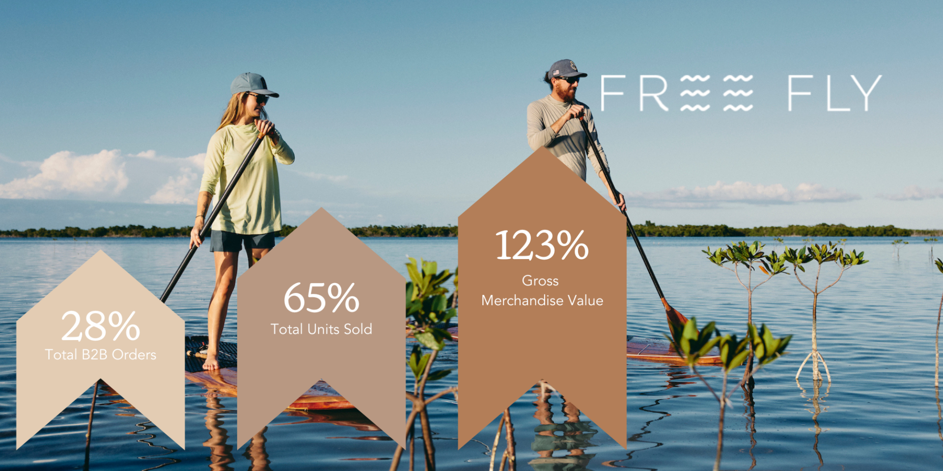 Free Fly metrics preview Free Fly metrics preview